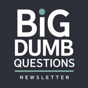 Sara Gallagher's Newsletter: Big Dumb Questions